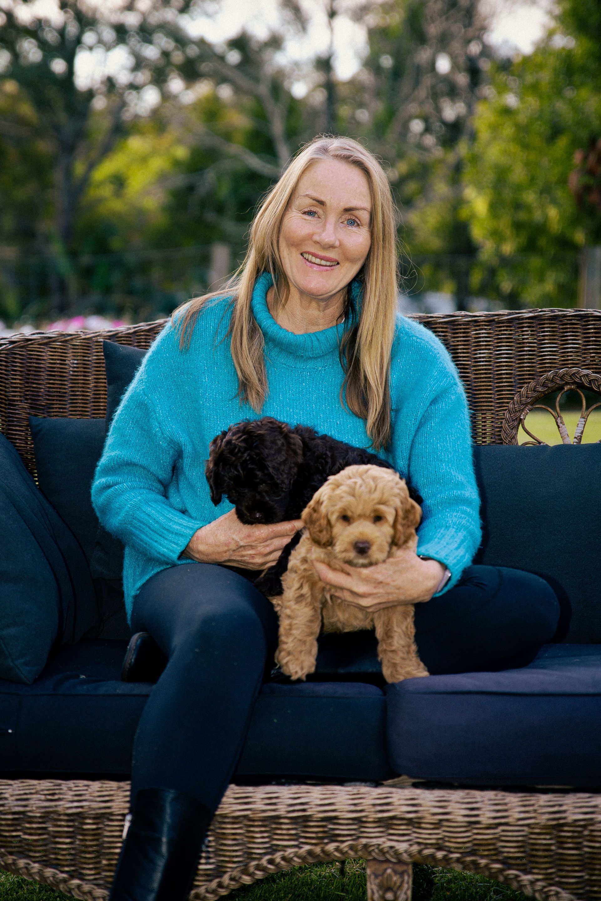 labradoodle breeder Tamborine Mountain