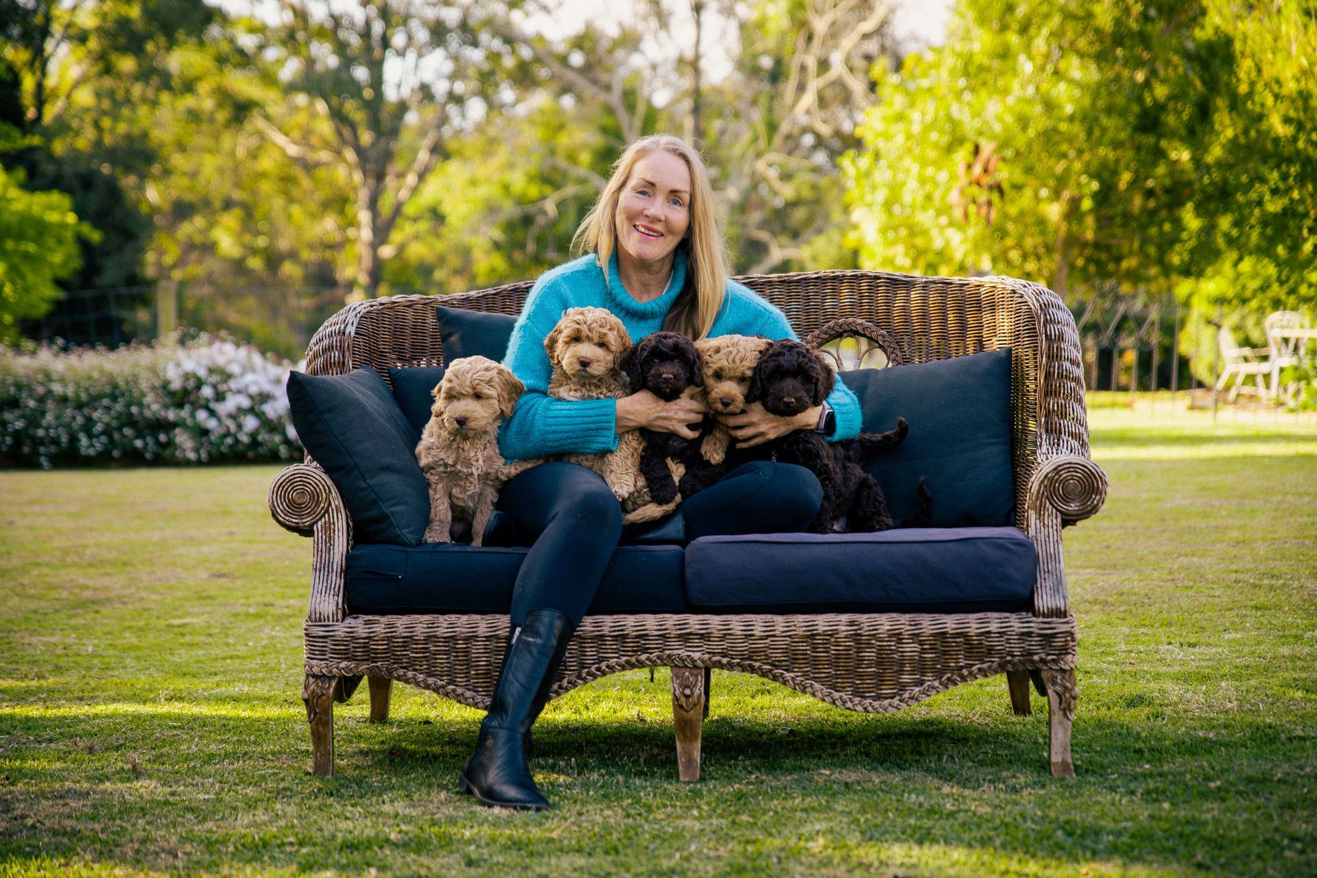 Australian Labradoodle Breeder