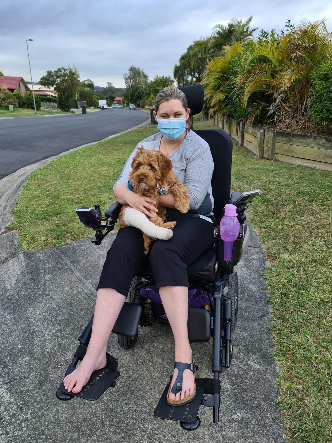 Assistance Dog 