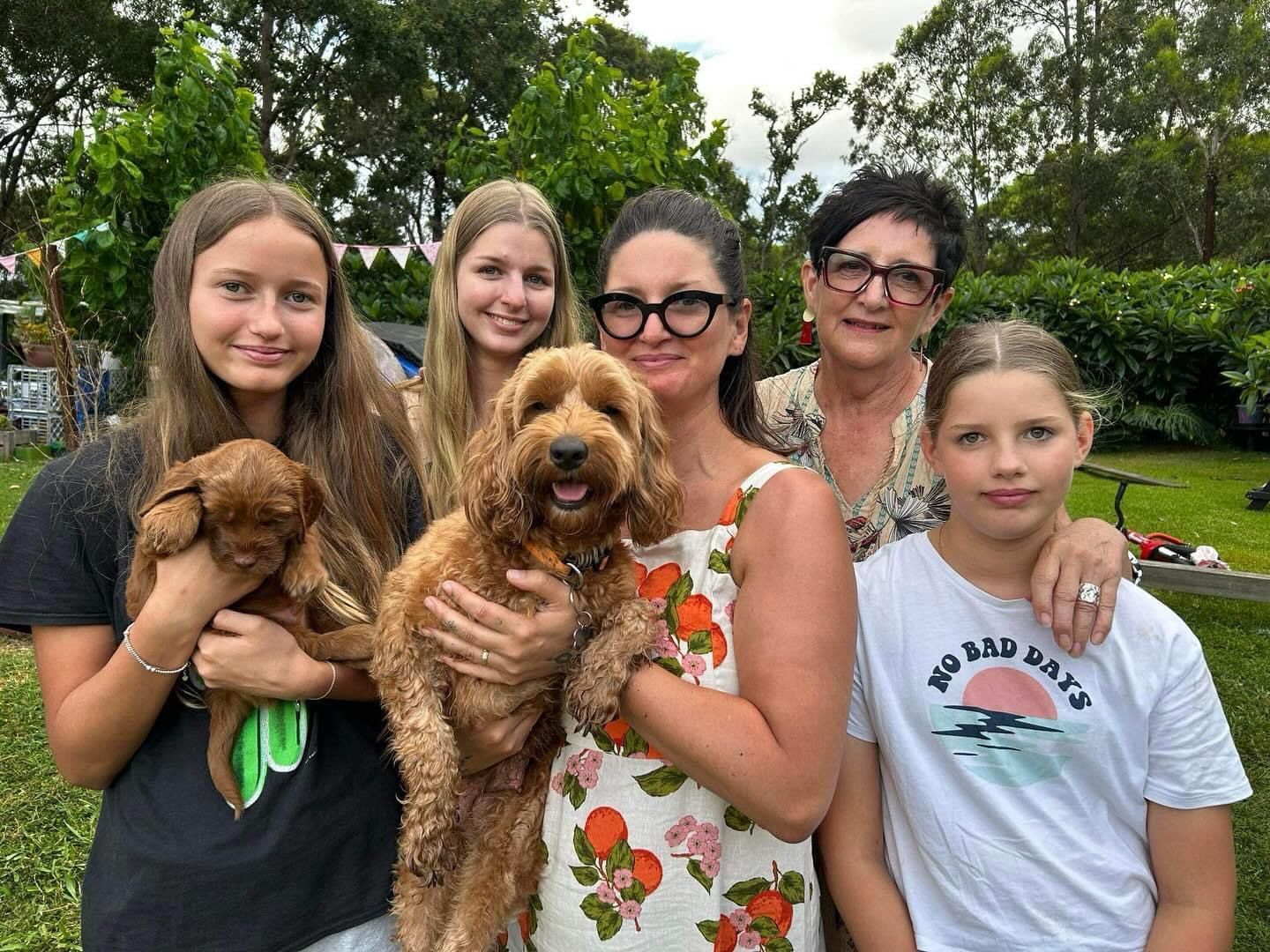 Australian Labradoodles 