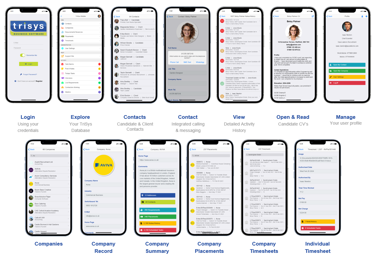A bunch of cell phones are lined up on a white background.