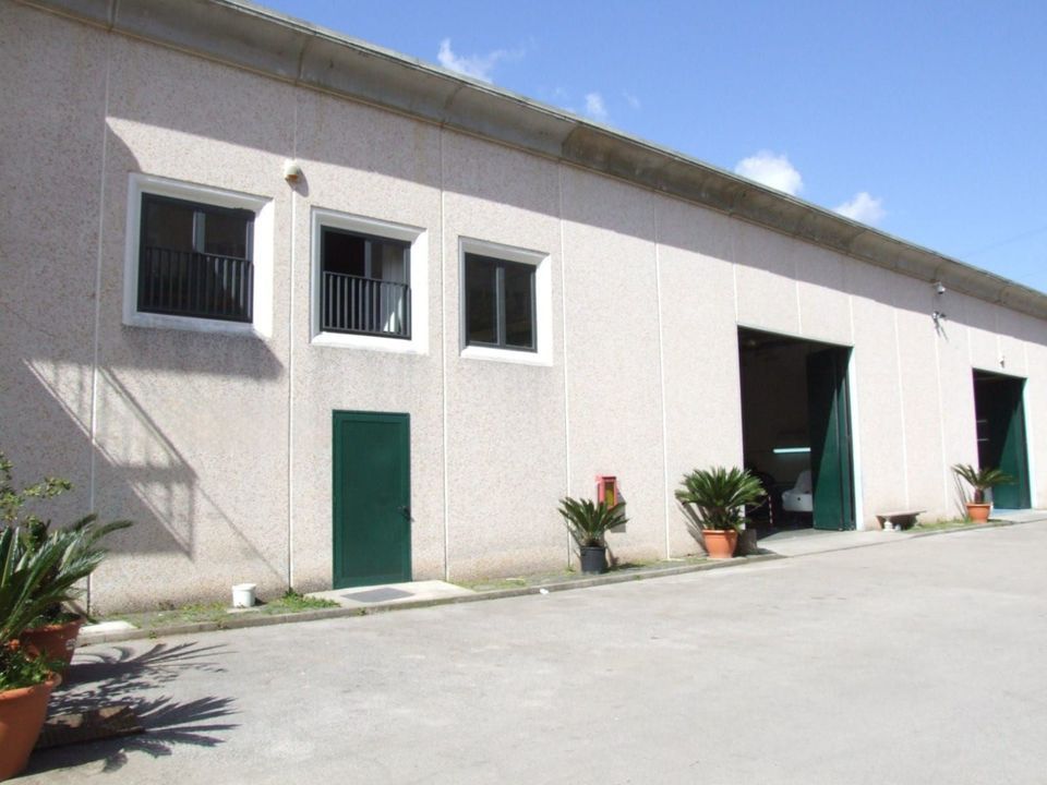 Edificio bianco con porte e finestre verdi accanto a un cortile lastricato sotto un cielo azzurro.