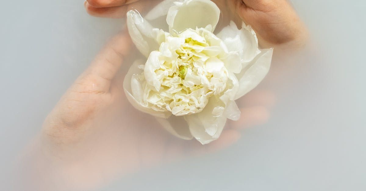 Boronia Beauty Spa, Discover our calming salon and luxury beauty treatments in Hunter Valley NSW