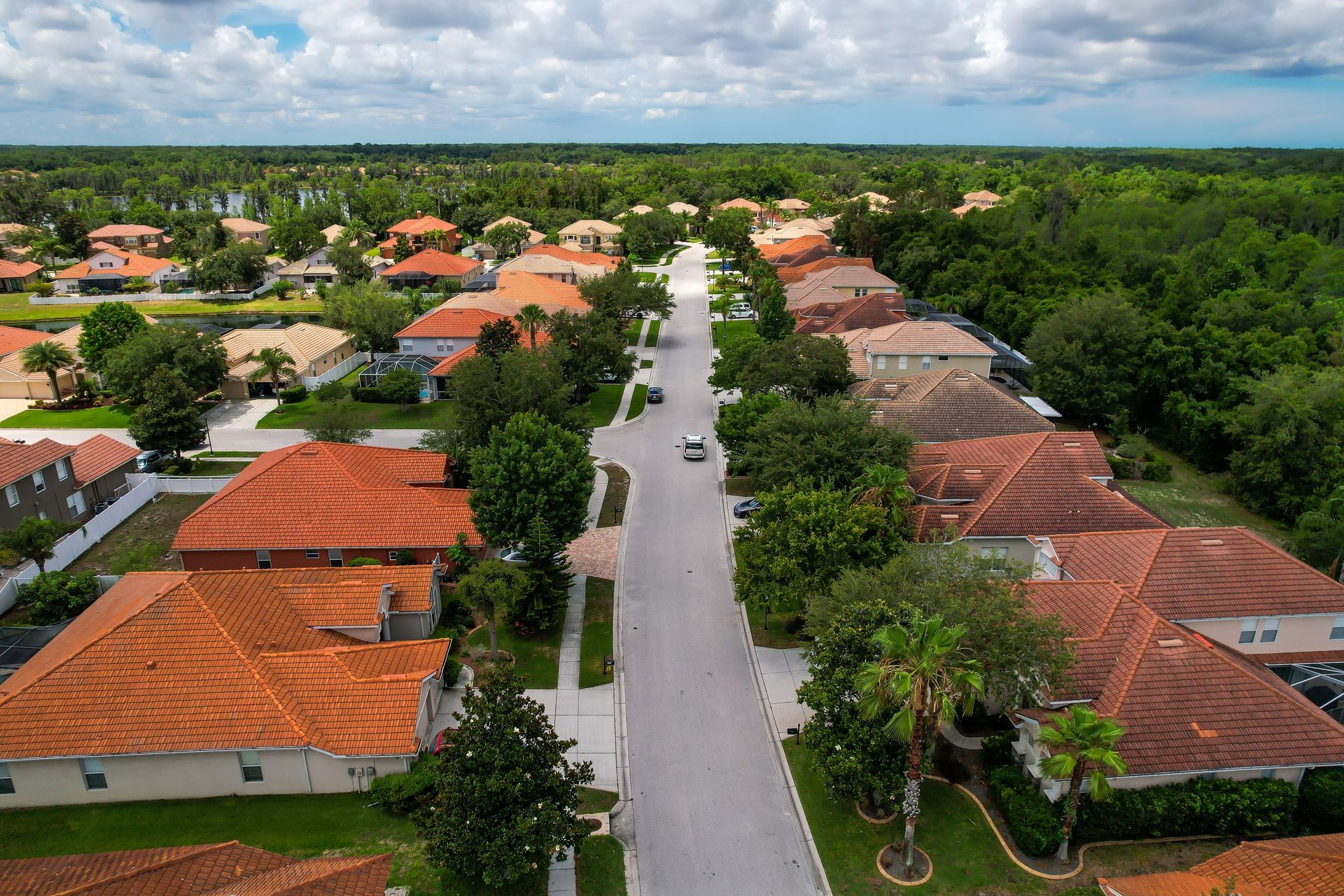 Aerial view of a suburban neighborhood with red-roofed houses and a straight tree-lined street under cloudy skies