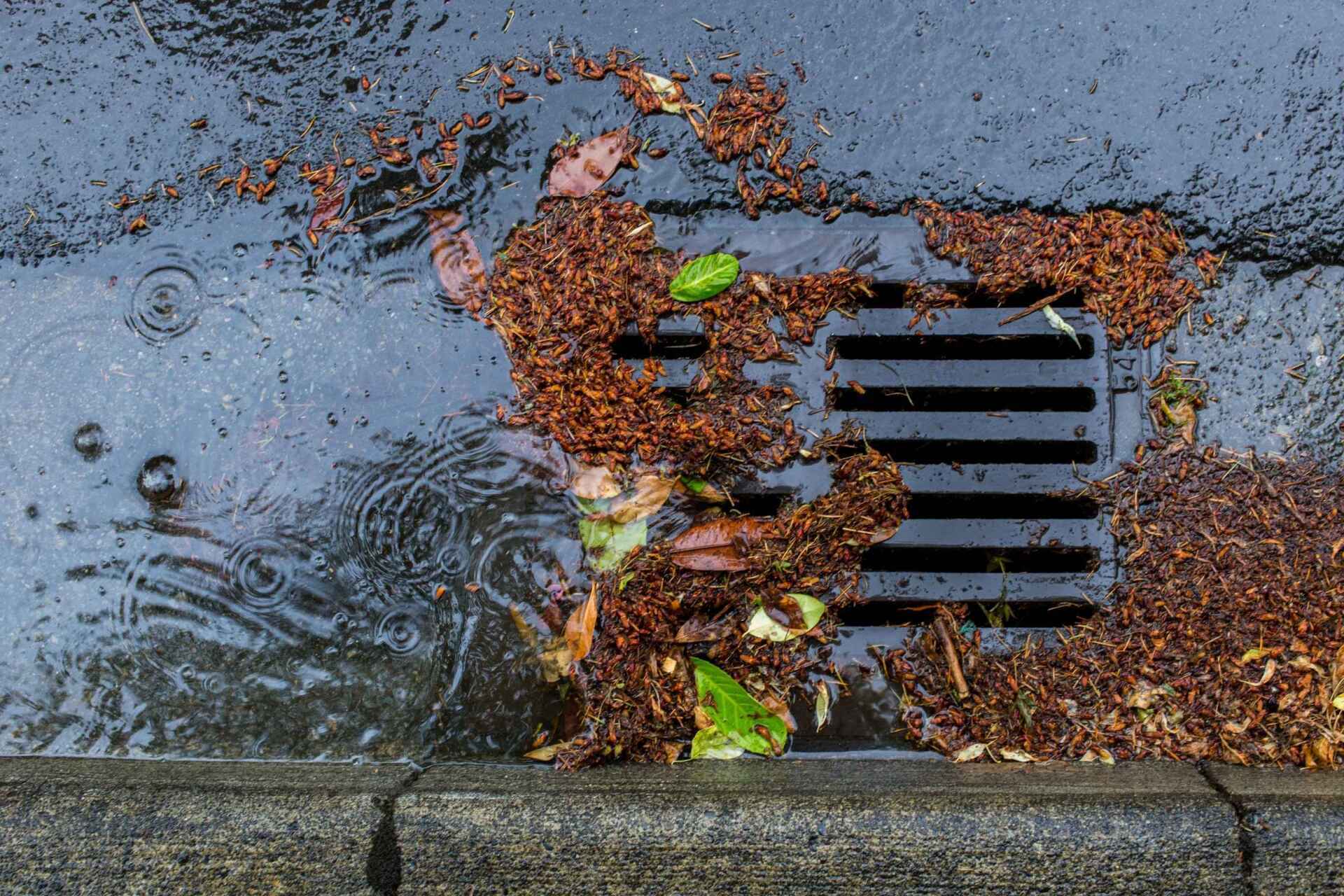 Drain Cleaning & Sewer Cleaning