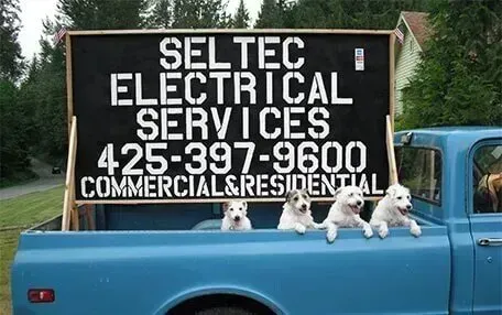 Blue truck bed with four white puppies, sign for SELTEC Electrical Services. Phone number provided.
