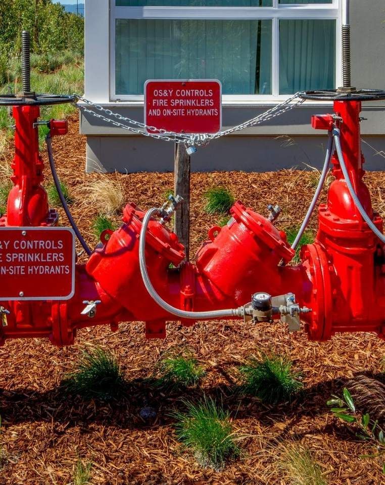 Red backflow preventer assembly with OS and Y gate valves serving a building's fire sprinkler system