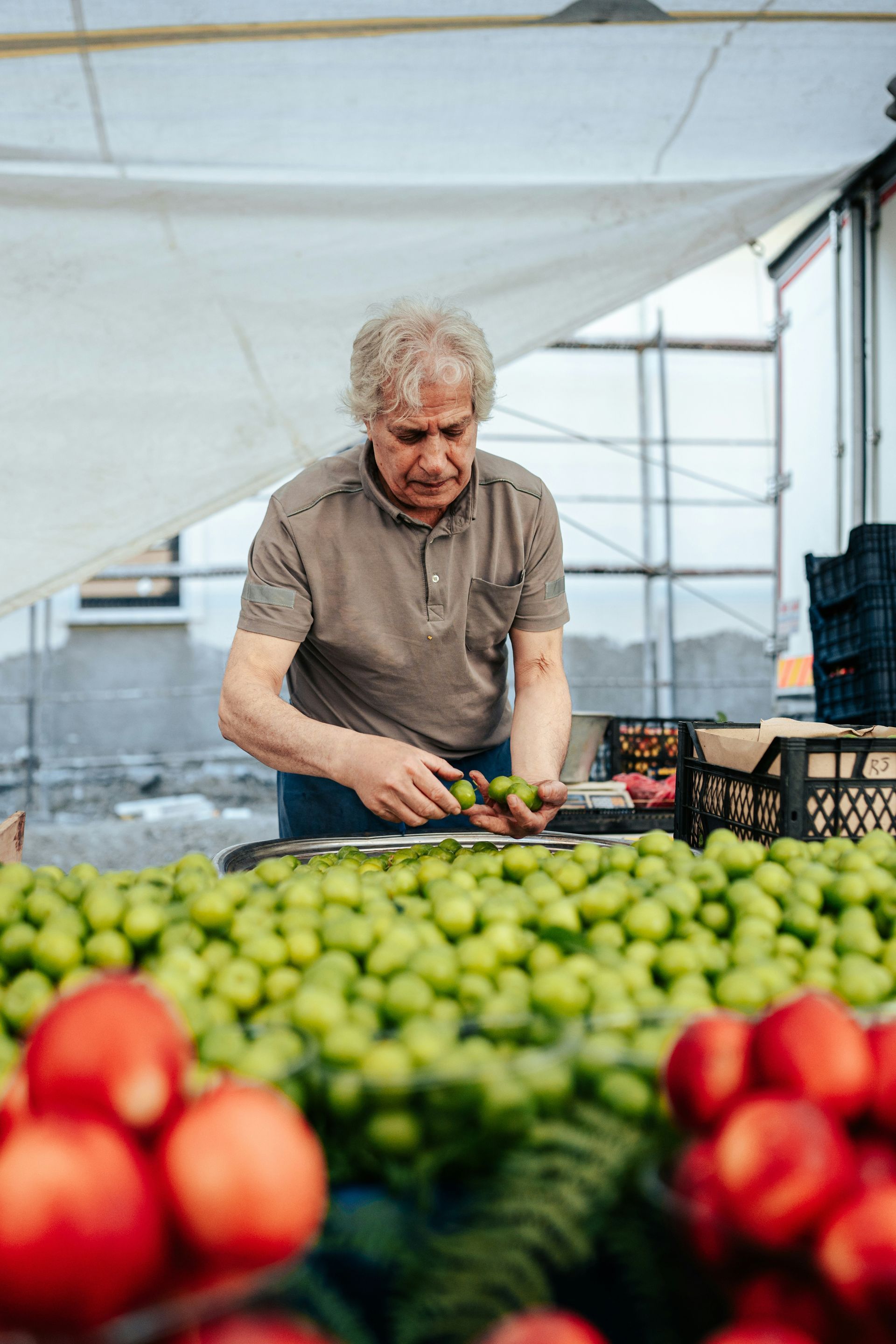 Person sorting green limes at a market stall with red fruit in the foreground
