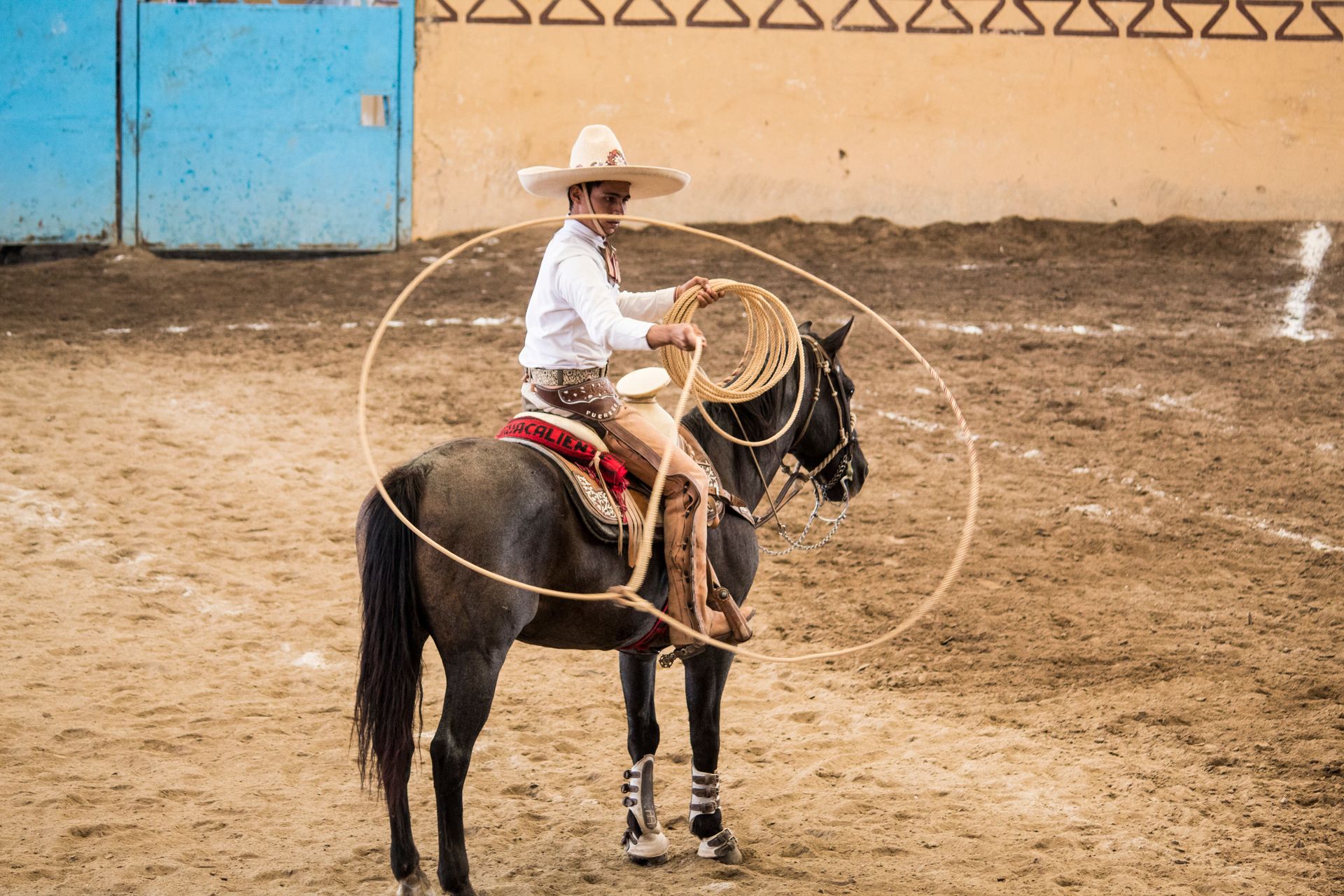 Un vaquero a caballo negro en una arena de rodeo, haciendo girar un lazo.