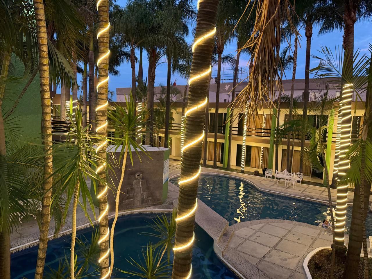 Patio con piscina tropical al atardecer, con palmeras iluminadas junto a un sendero de piedra.