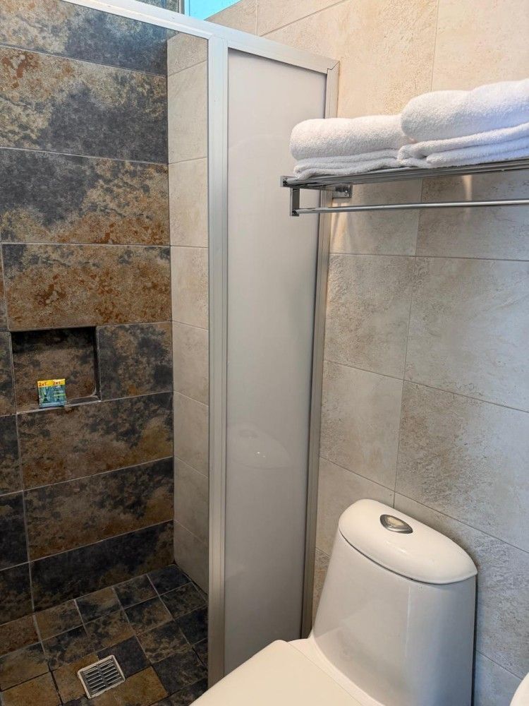 Baño pequeño con ducha a ras de suelo, paredes de piedra y azulejos, panel de vidrio, inodoro y estante para toallas.
