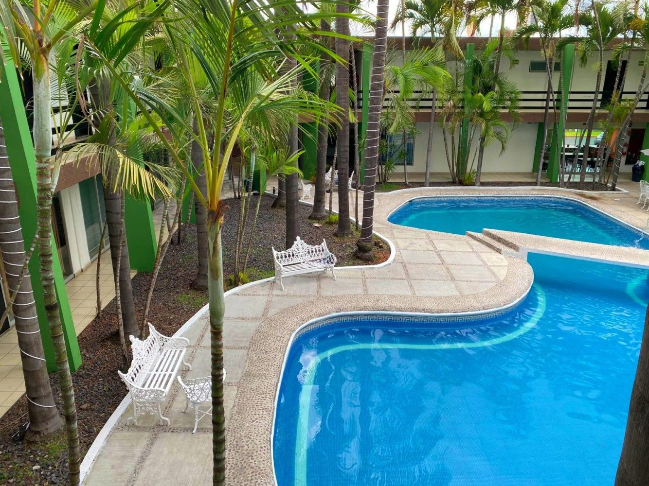 Piscina en el patio con agua azul, tumbonas blancas y altas palmeras.