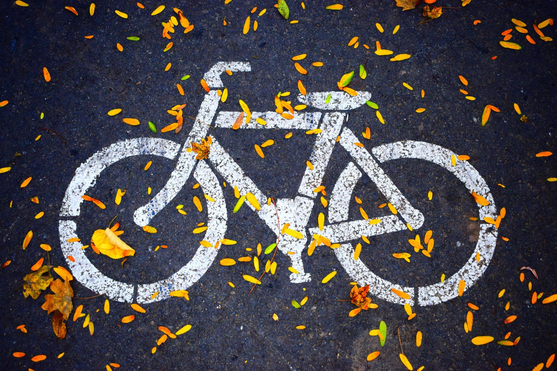 A bicycle is painted on the road surrounded by leaves.