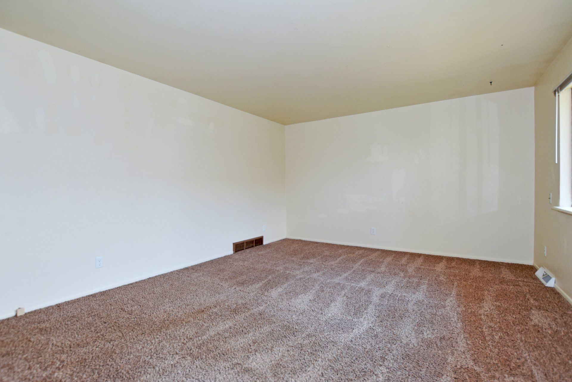 photo gallery