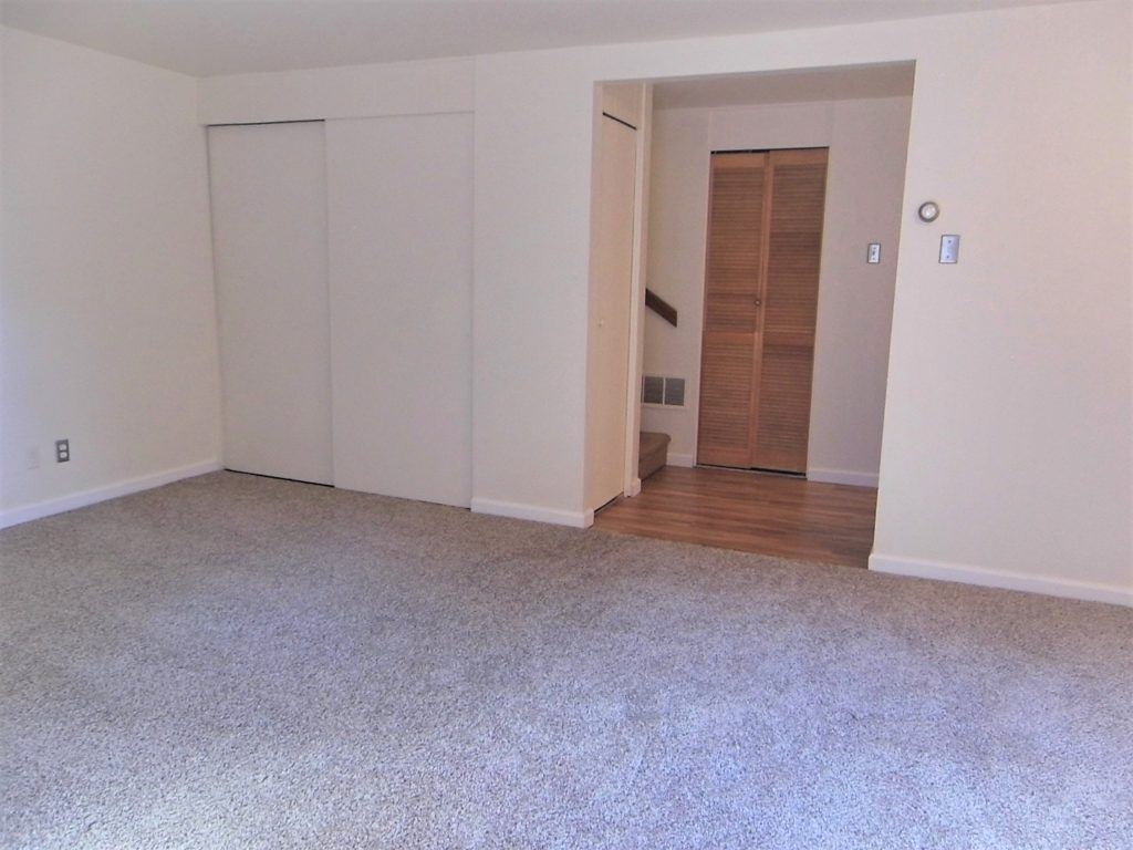 photo gallery