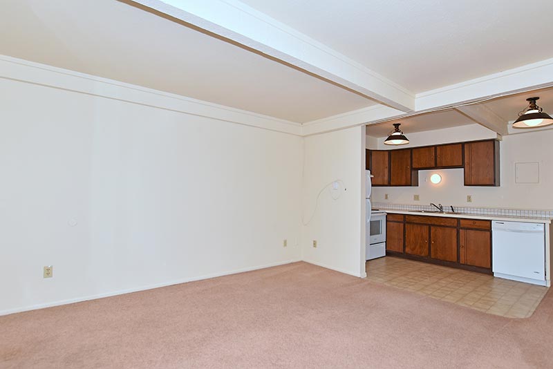 photo gallery