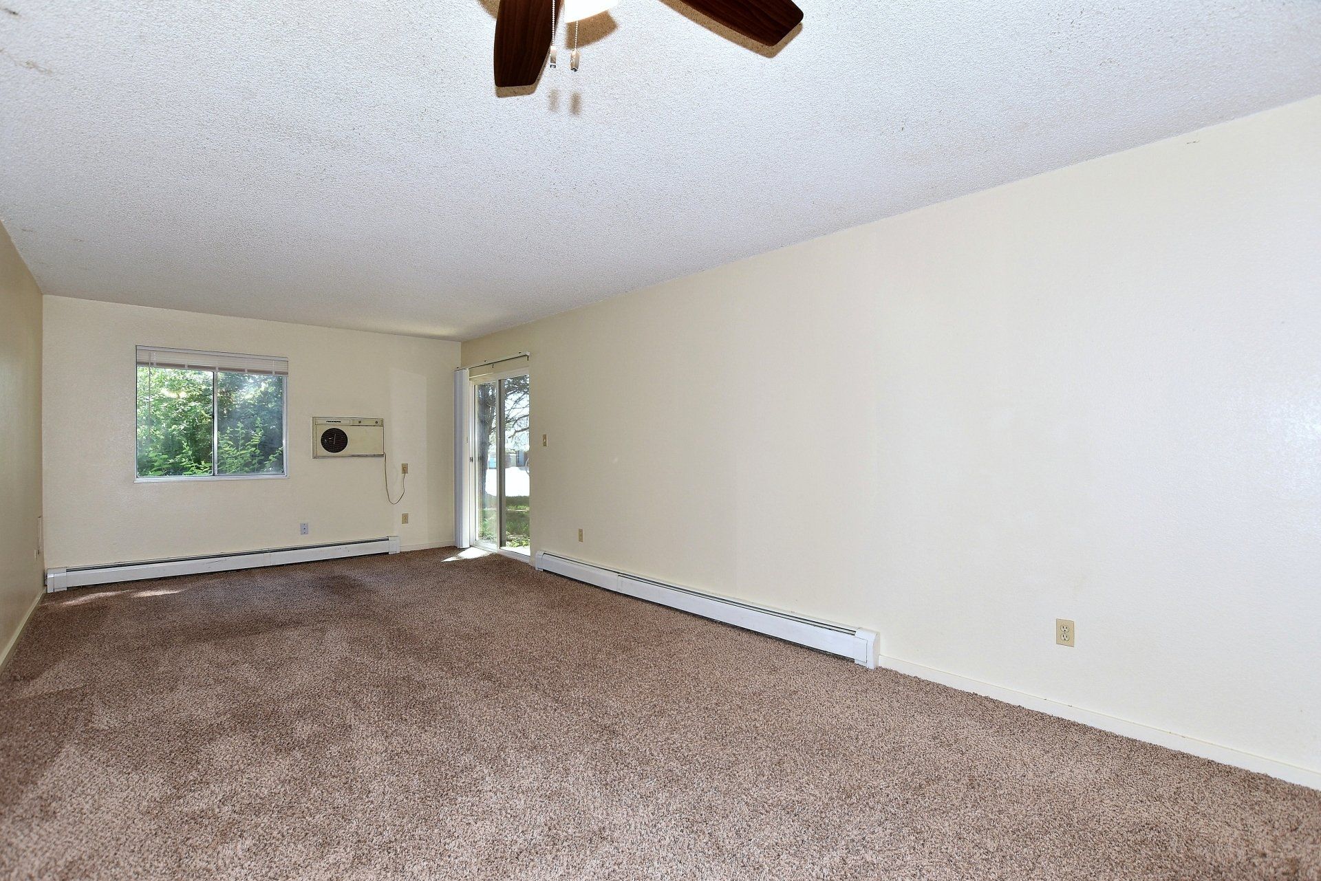 photo gallery