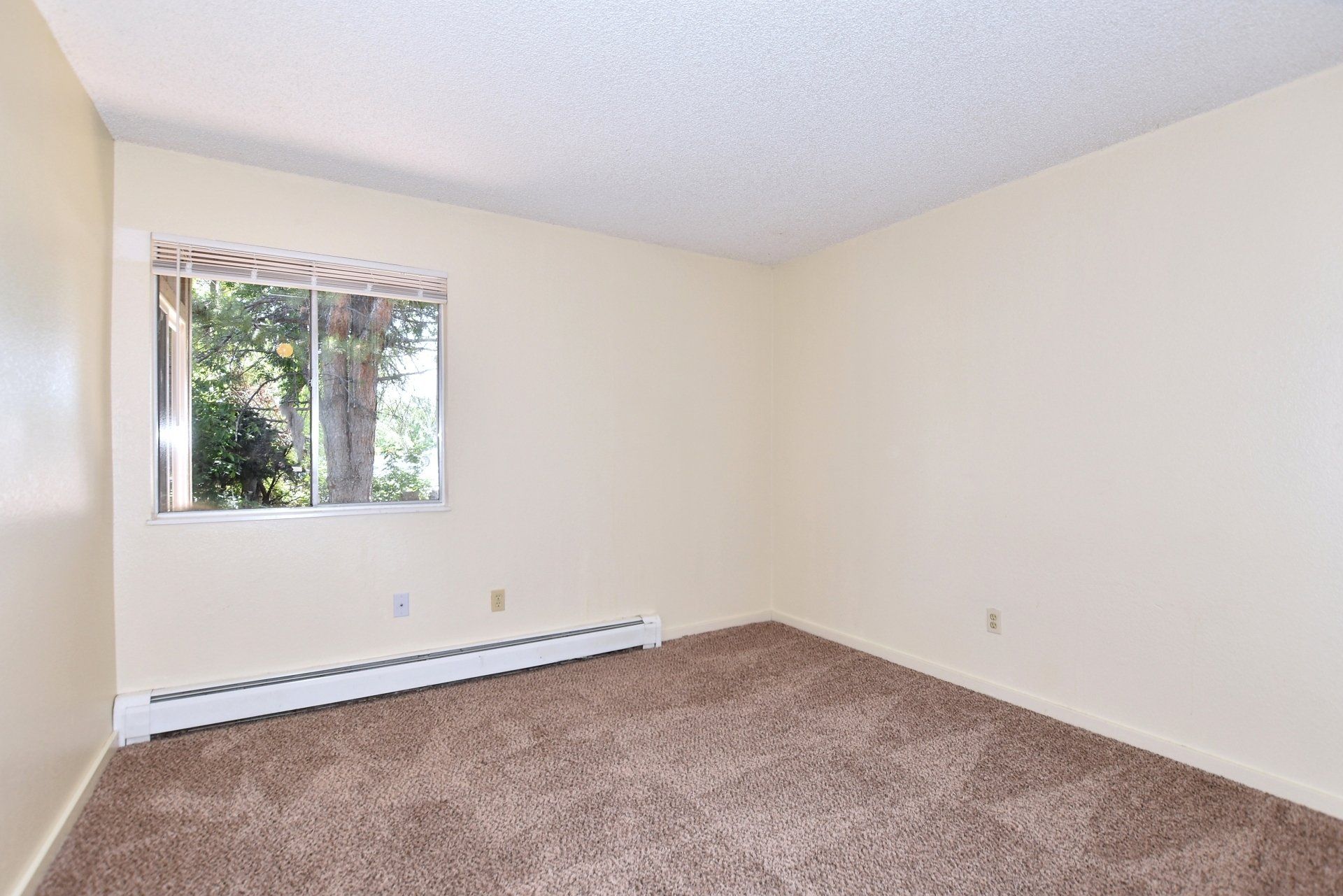 photo gallery