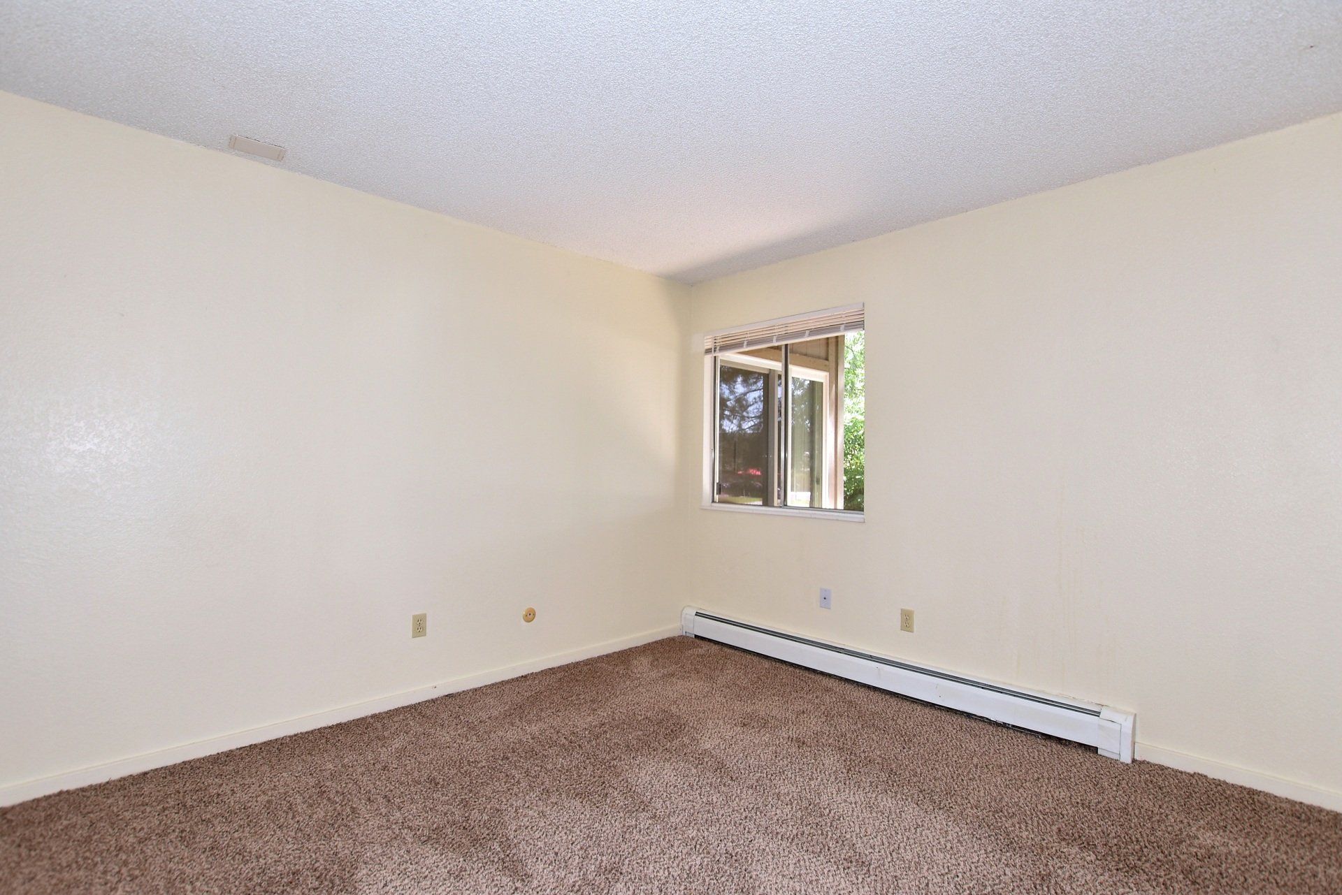 photo gallery