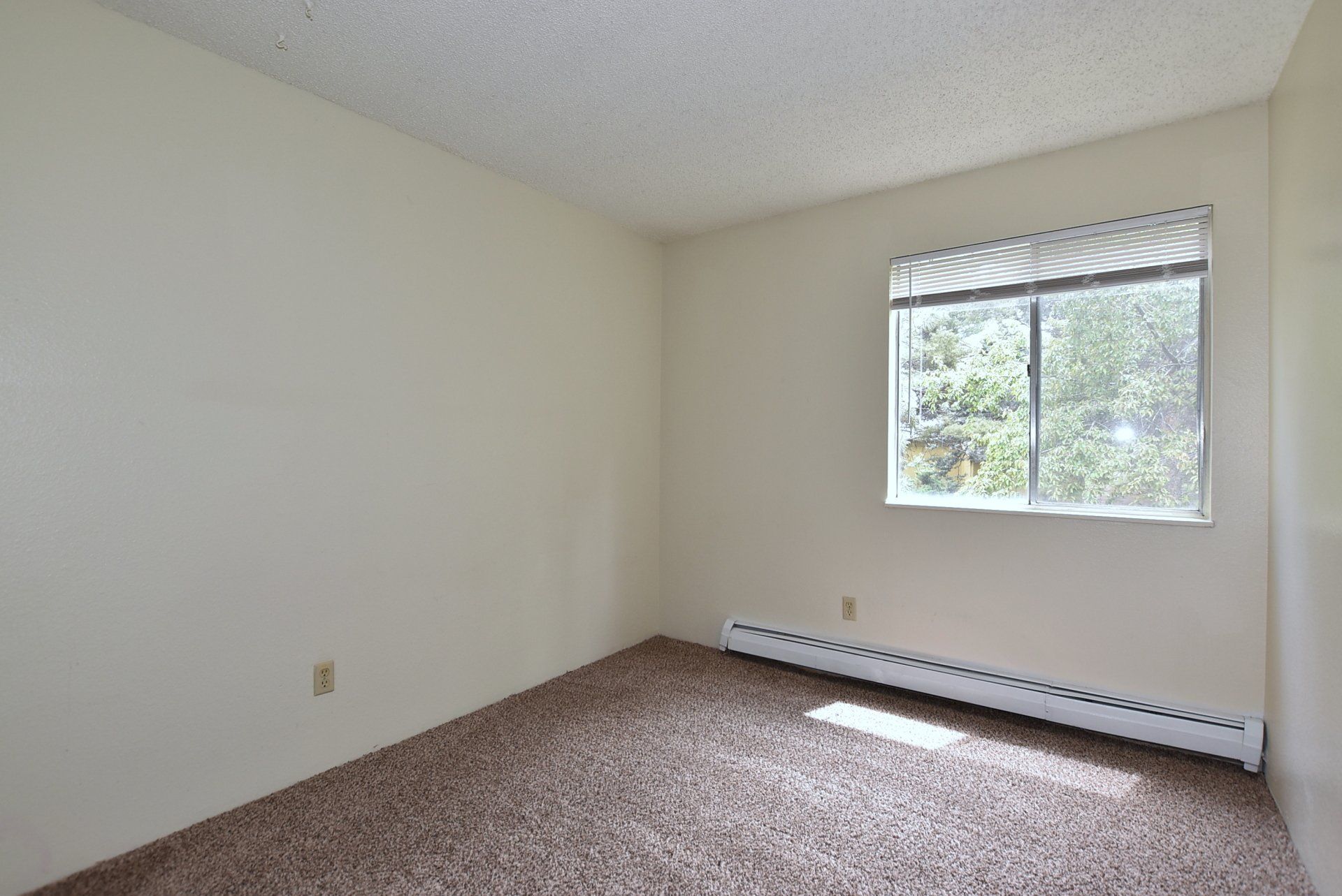 photo gallery