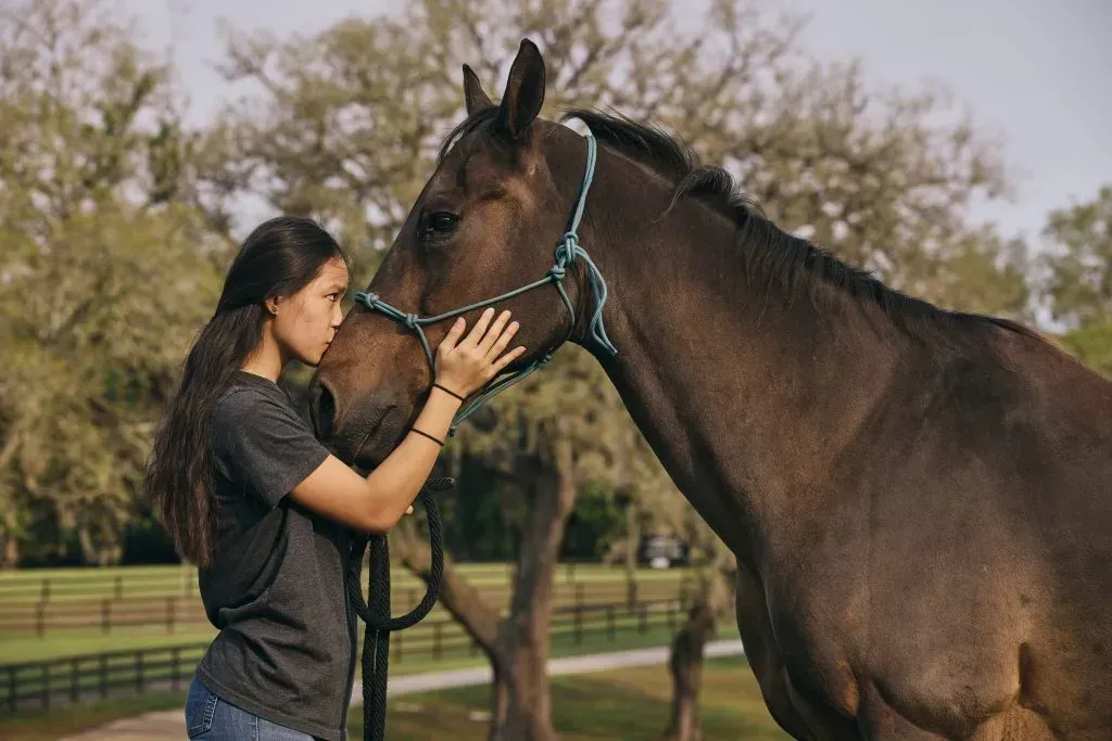 Woman gently holding a brown horse's muzzle in a grassy paddock