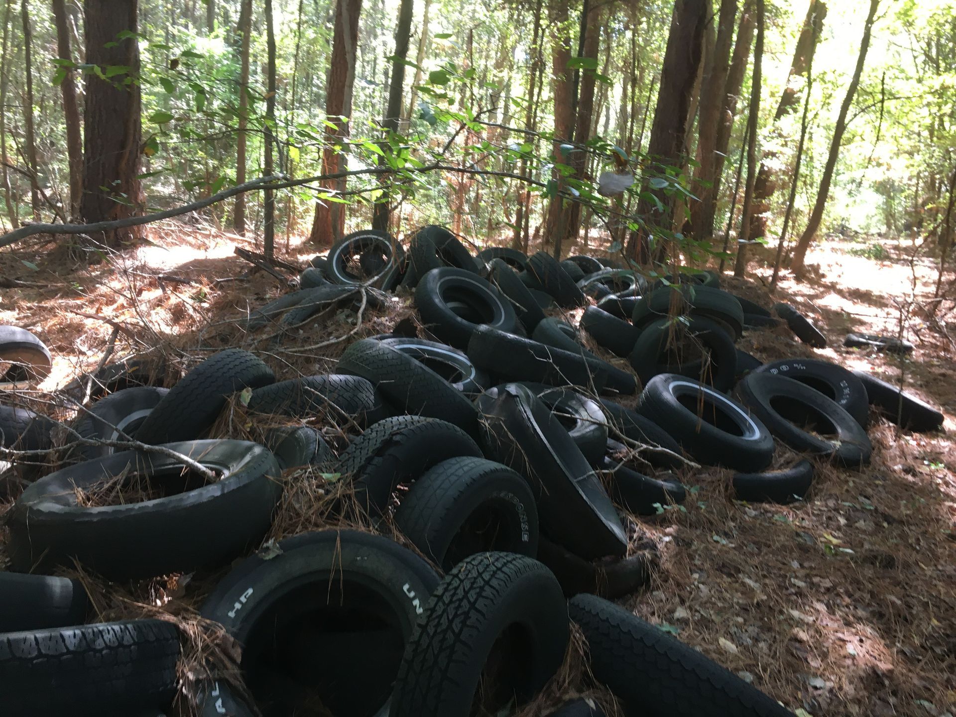 Pile of used tires in a wooded area, surrounded by trees and pine needles.