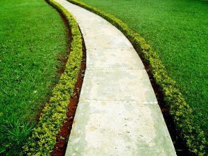 landscape image of yard