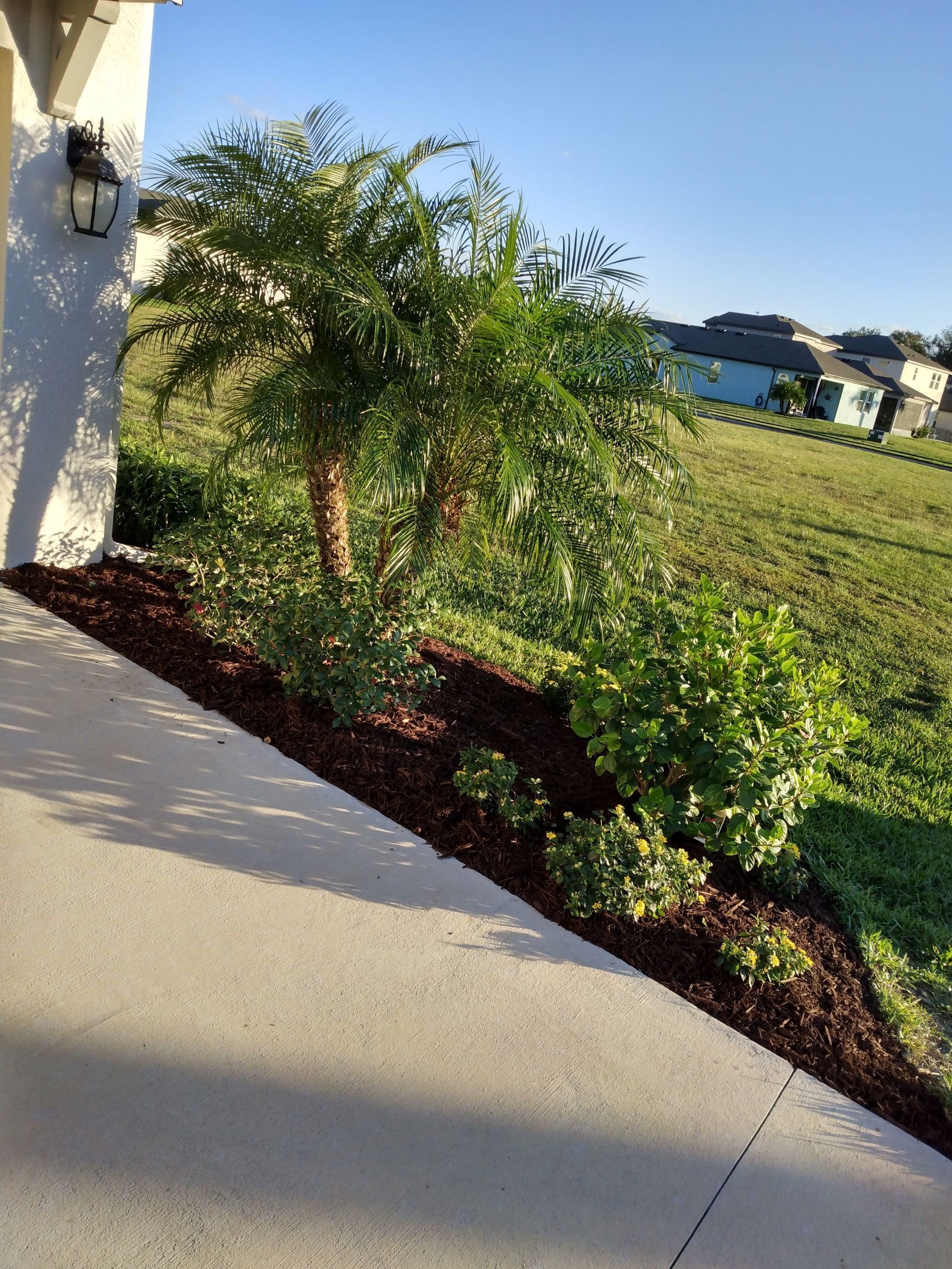 Custom garden Sarasota vibrant plant selection