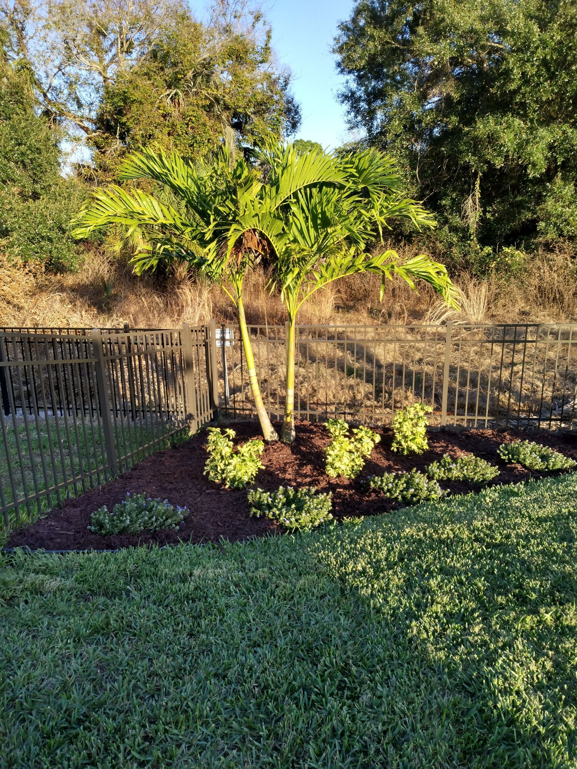 Monthly lawn service Bradenton residential yard