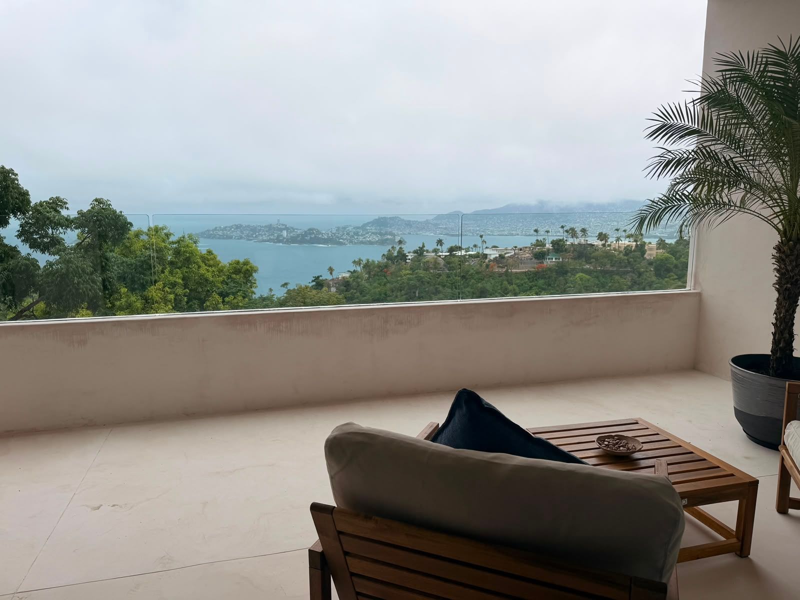 Patio con vistas a una bahía brumosa, con tumbonas, una mesa baja y una palmera en maceta.