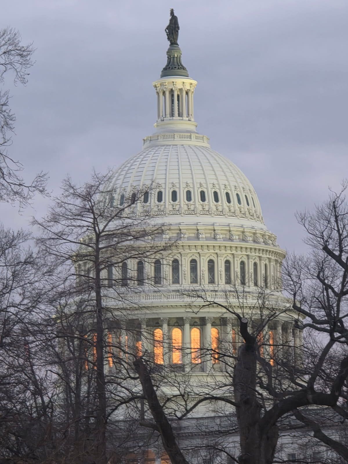 U.S. Capitol dome at dusk, with lit windows behind bare tree branches under a cloudy sky