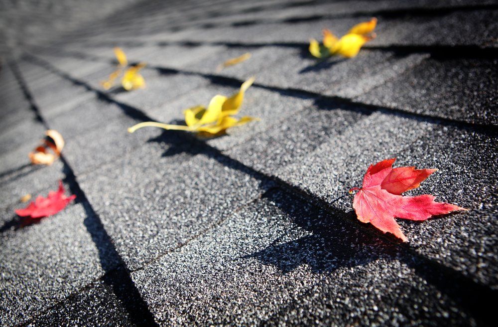 A row of leaves are laying on a roof