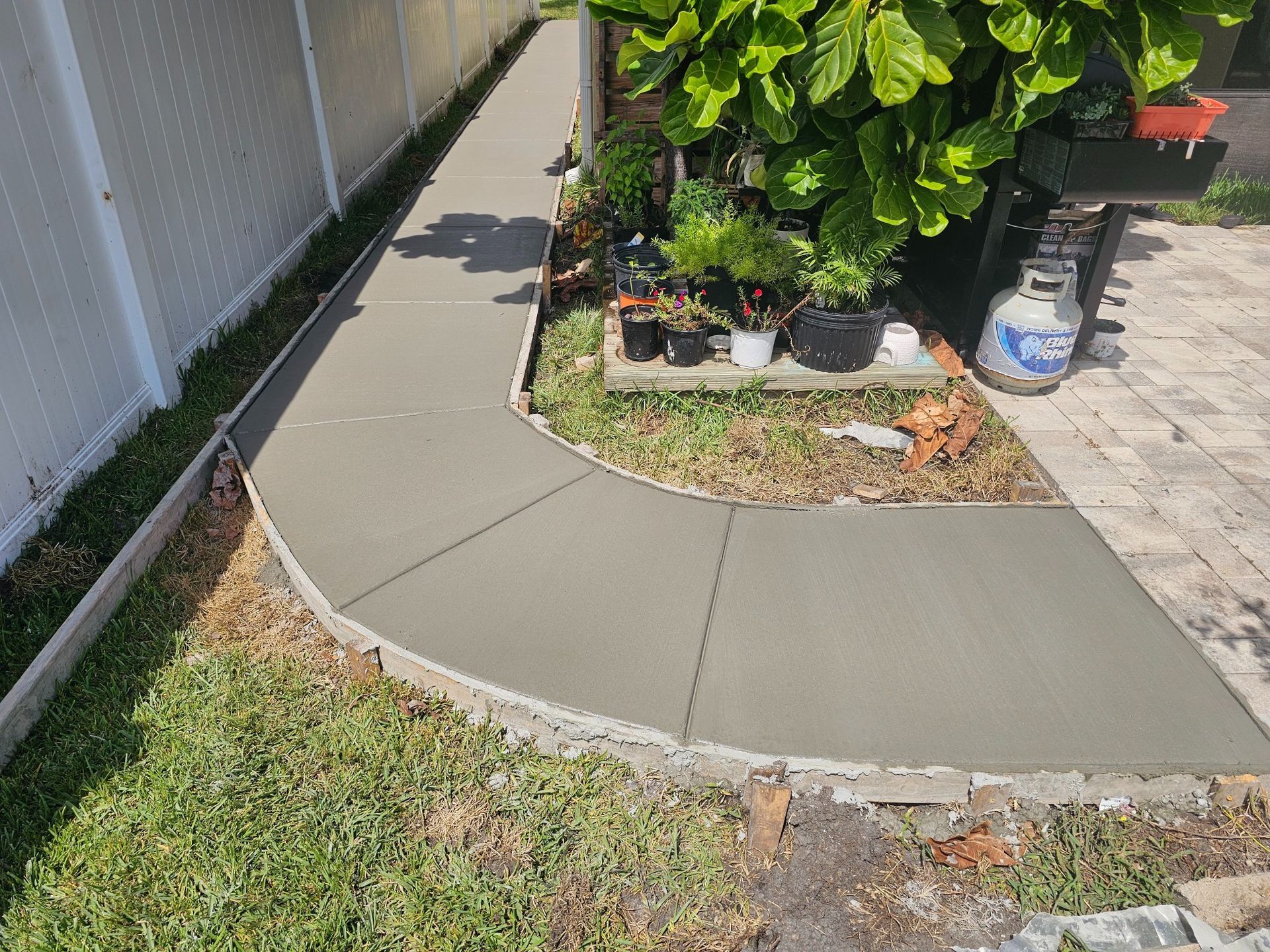 Newly poured concrete walkway curves around a garden with plants and a propane tank.