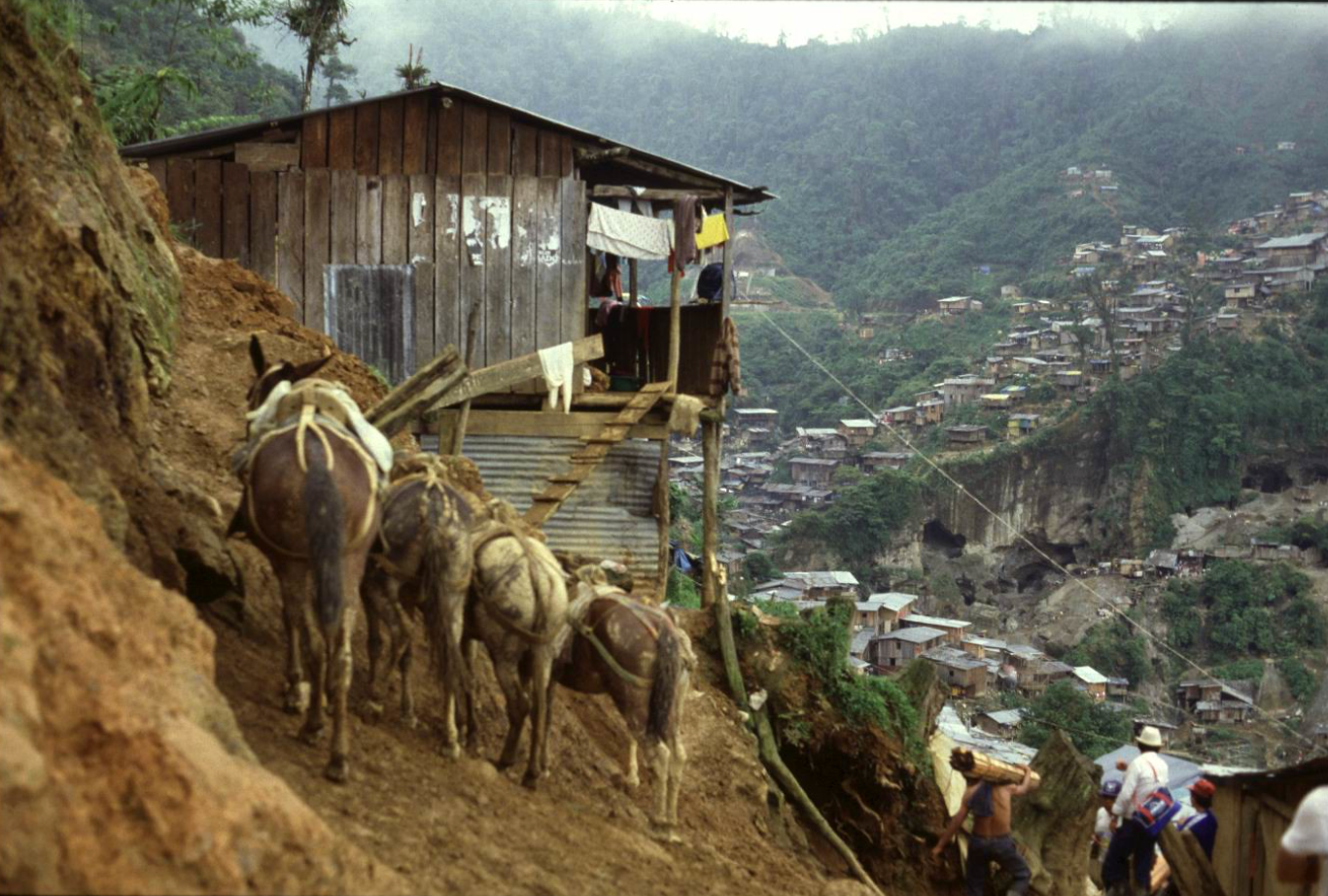 Gold mine on a mountain with mules lined up on the side.