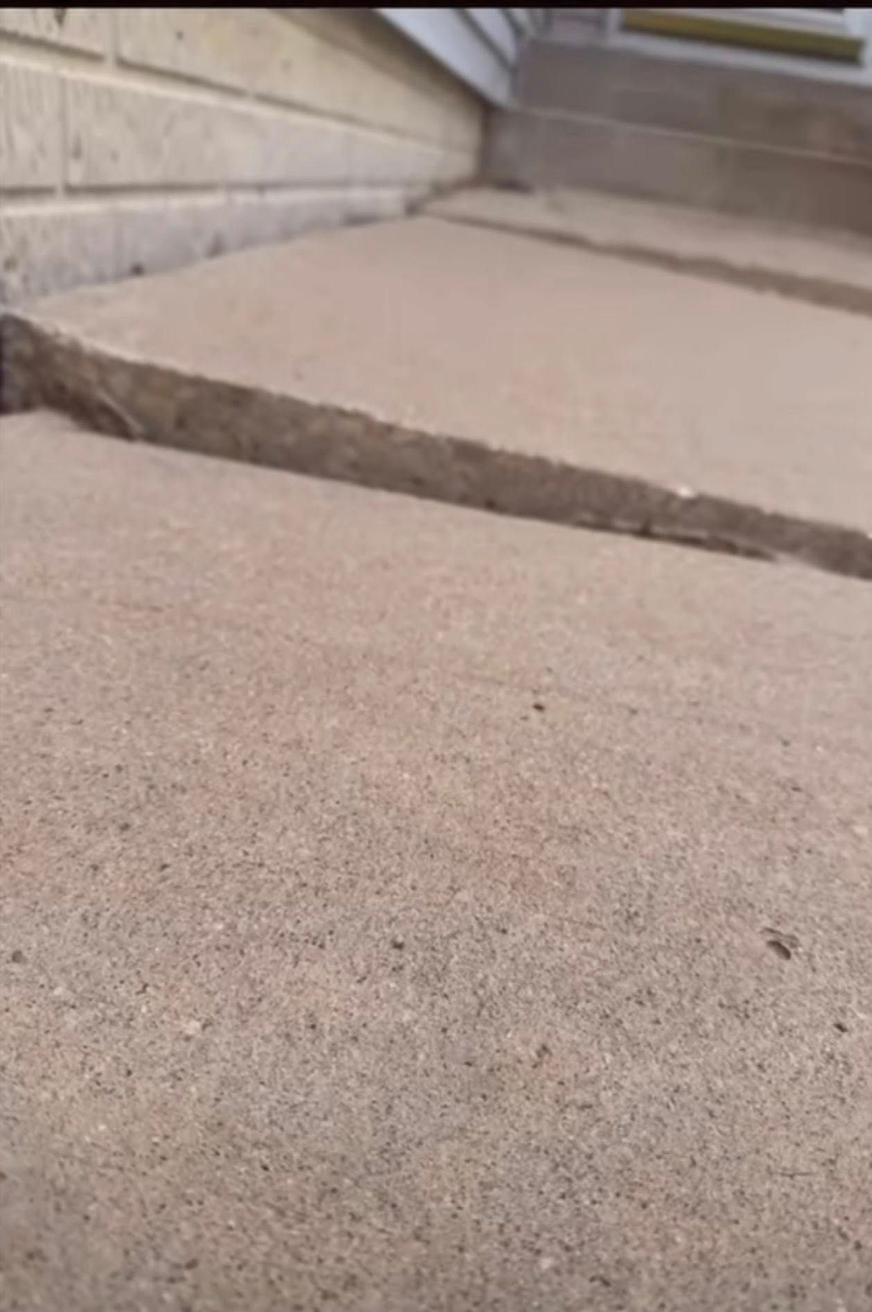 Concrete steps leading to a building entrance.
