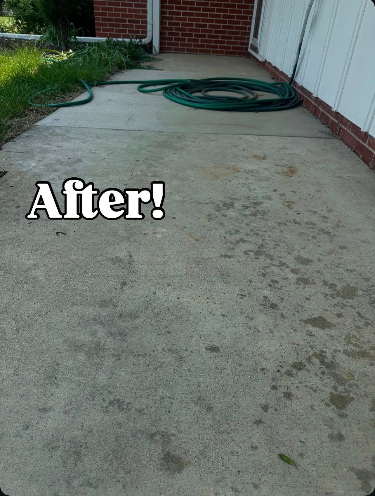 Concrete patio, wet with water spots, with a coiled green hose. 
