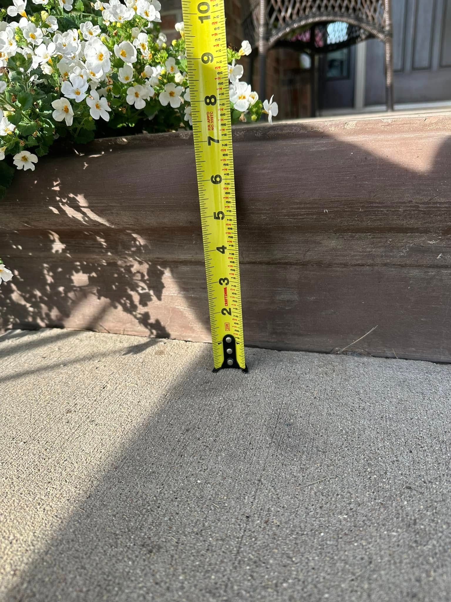 Yellow measuring tape shows about 5 inches against a brown planter. White flowers and gray ground are in the background.