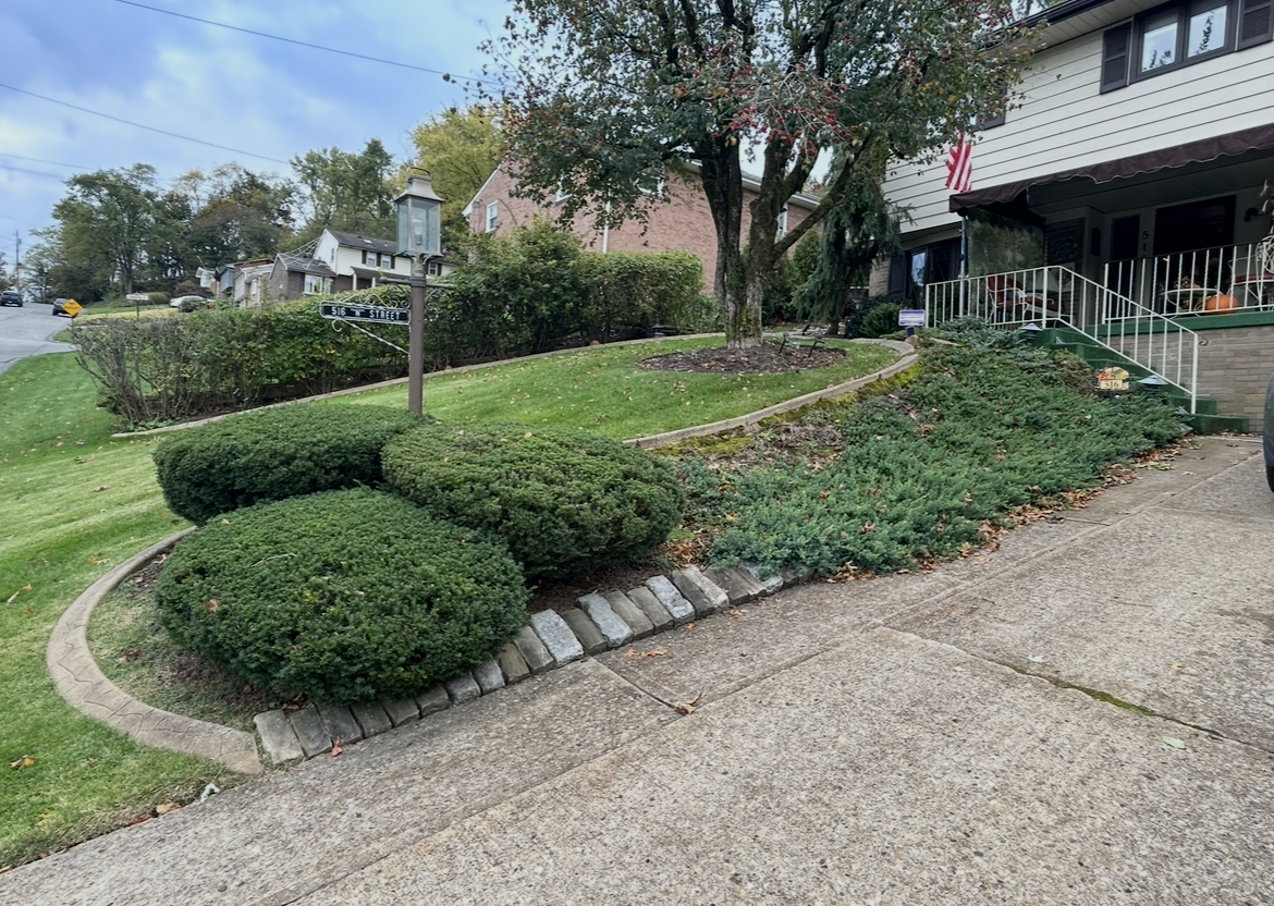 Before retaining wall installation 
