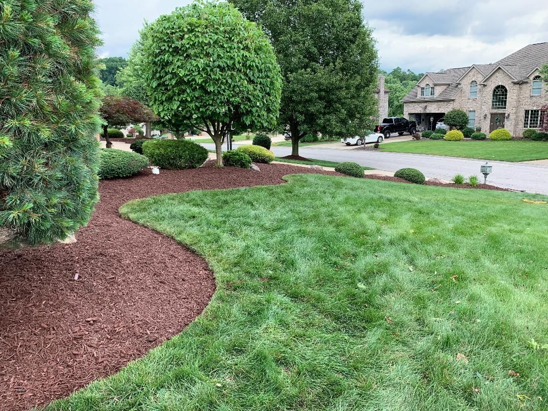 A lush green lawn with trees and mulch in front of a house.