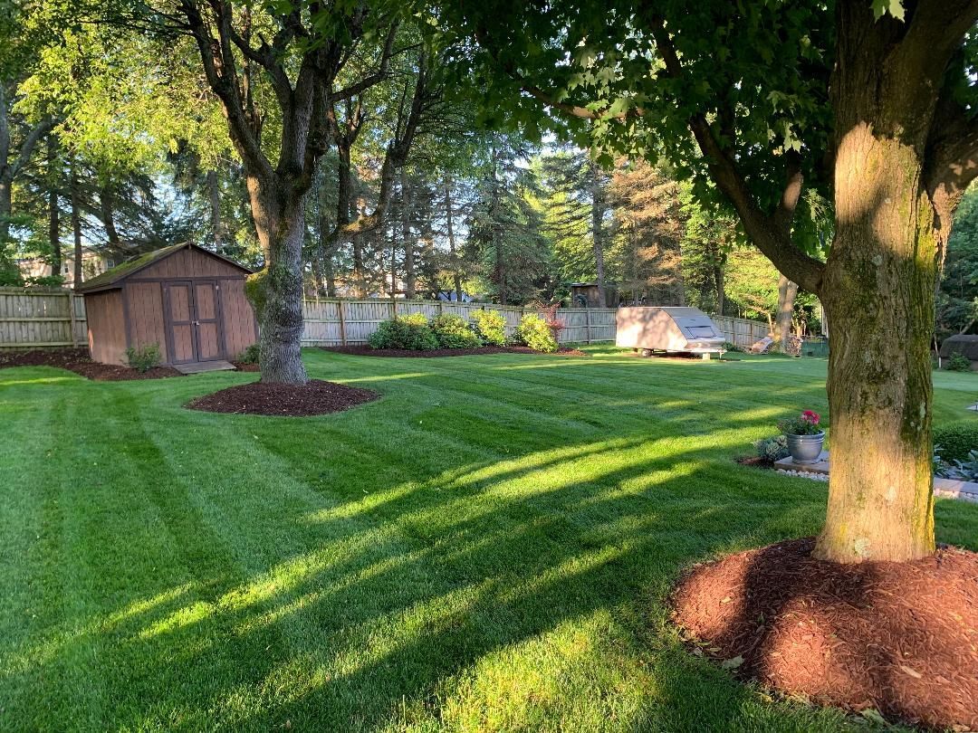 A lush green lawn with a shed in the background and a tree in the foreground.