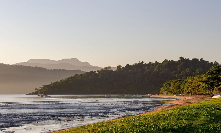 Praia tropical ensolarada com ondas, costa ladeada por palmeiras e montanhas envoltas em névoa ao longe.