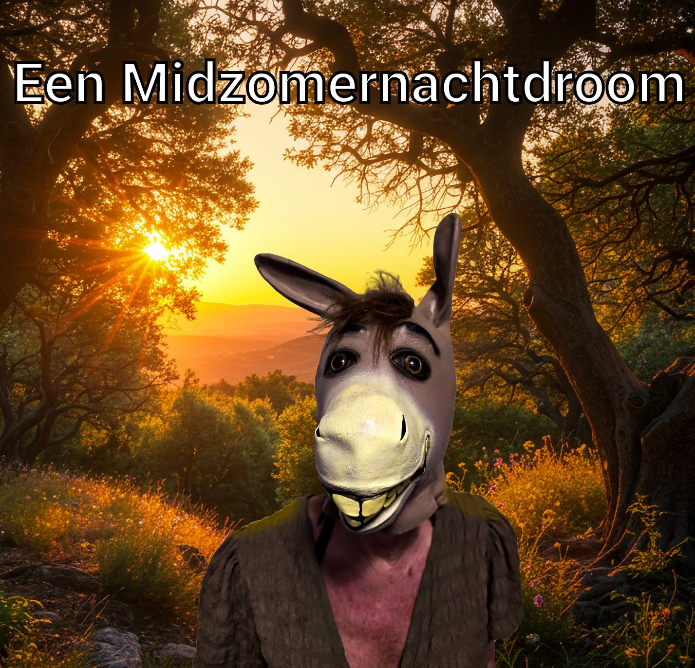 Midzomernachtdroom