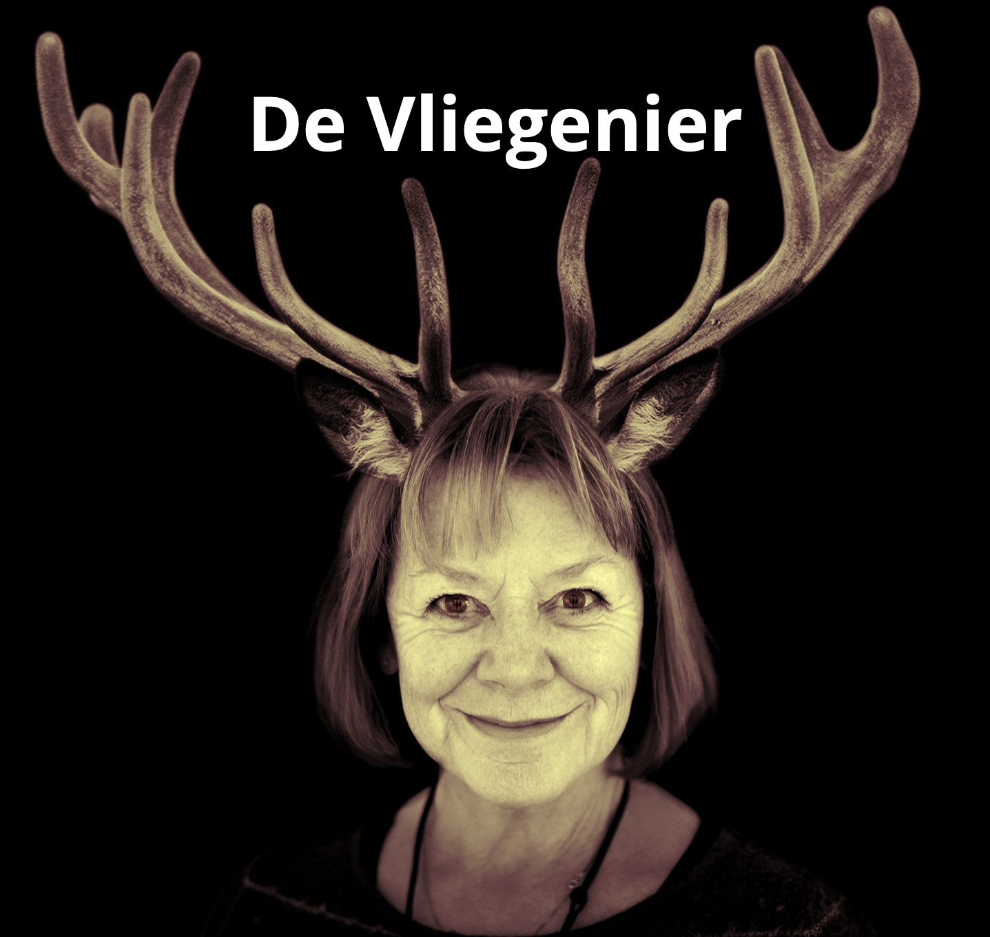 De vliegenier