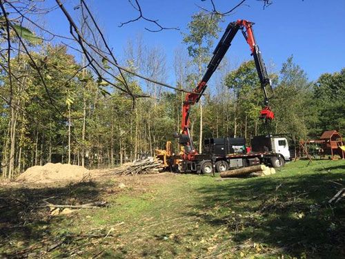Photos | Chardon, OH | Montgomery Tree & Stump Removal