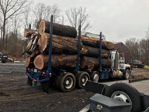 Photos | Chardon, OH | Montgomery Tree & Stump Removal