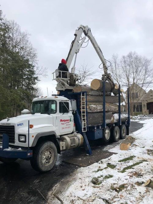 Photos | Chardon, OH | Montgomery Tree & Stump Removal