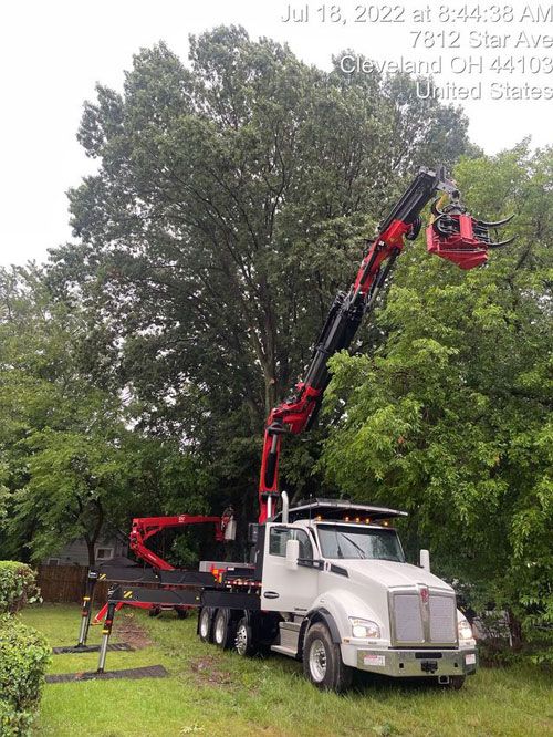 Photos | Chardon, OH | Montgomery Tree & Stump Removal