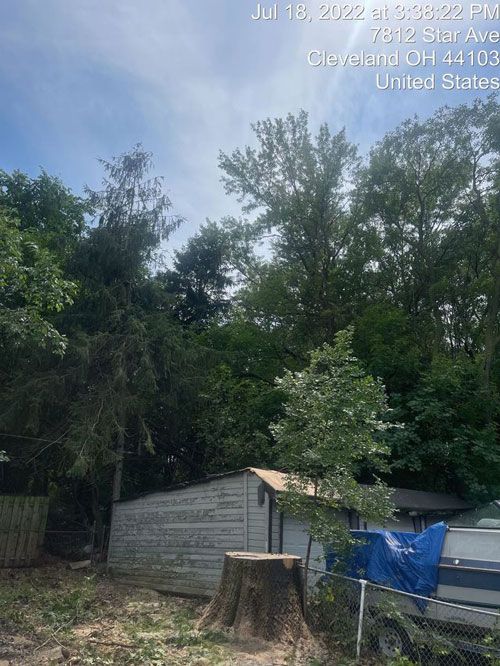 Photos | Chardon, OH | Montgomery Tree & Stump Removal