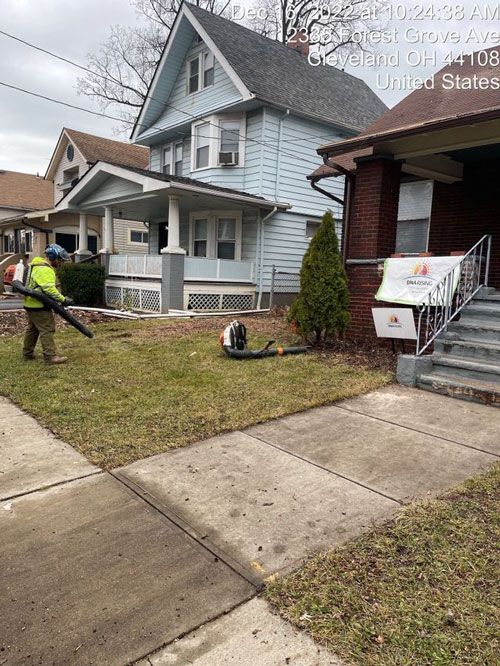 Photos | Chardon, OH | Montgomery Tree & Stump Removal