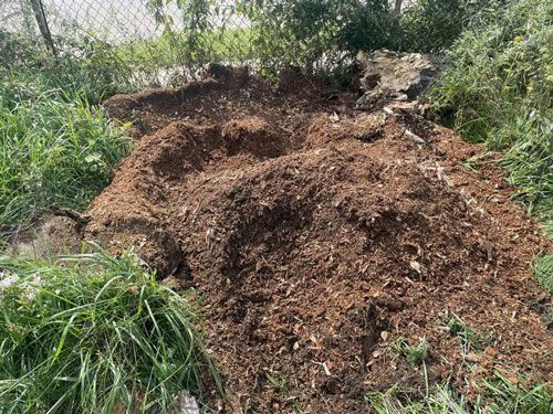 Photos | Chardon, OH | Montgomery Tree & Stump Removal